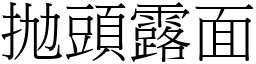抛頭露面 (宋體矢量字庫)