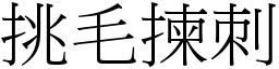 挑毛揀刺 (宋體矢量字庫)