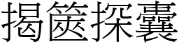 揭篋探囊 (宋體矢量字庫)