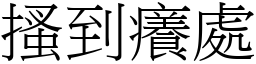 搔到癢處 (宋體矢量字庫)
