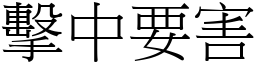 擊中要害 (宋體矢量字庫)
