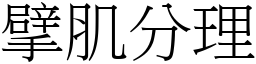 擘肌分理 (宋體矢量字庫)