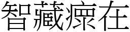 智藏瘝在 (宋體矢量字庫)