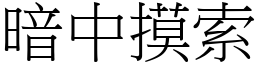 暗中摸索 (宋體矢量字庫)
