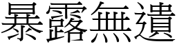 暴露無遺 (宋體矢量字庫)