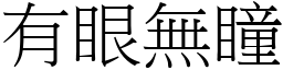 有眼無瞳 (宋體矢量字庫)