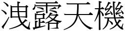 洩露天機 (宋體矢量字庫)