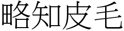 略知皮毛 (宋體矢量字庫)