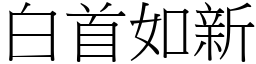白首如新 (宋體矢量字庫)
