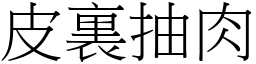 皮裏抽肉 (宋體矢量字庫)