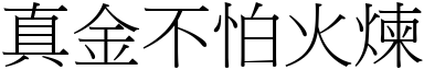 真金不怕火煉 (宋體矢量字庫)