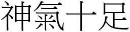 神氣十足 (宋體矢量字庫)