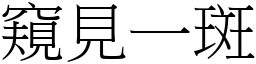 窺見一斑 (宋體矢量字庫)