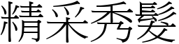 精采秀髮 (宋體矢量字庫)