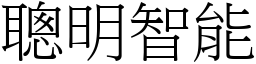 聰明智能 (宋體矢量字庫)