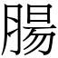 腸 (宋體矢量字庫)