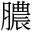 膿 (宋體矢量字庫)