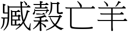 臧穀亡羊 (宋體矢量字庫)