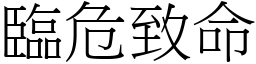 臨危致命 (宋體矢量字庫)