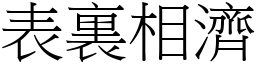 表裏相濟 (宋體矢量字庫)