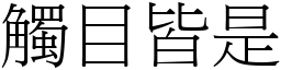 觸目皆是 (宋體矢量字庫)