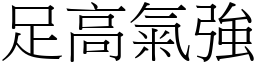足高氣強 (宋體矢量字庫)