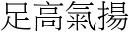 足高氣揚 (宋體矢量字庫)