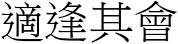 適逢其會 (宋體矢量字庫)