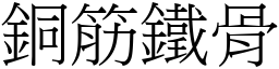 銅筋鐵骨 (宋體矢量字庫)