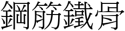 鋼筋鐵骨 (宋體矢量字庫)