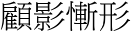 顧影慚形 (宋體矢量字庫)