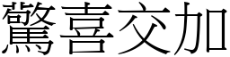 驚喜交加 (宋體矢量字庫)
