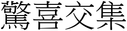 驚喜交集 (宋體矢量字庫)