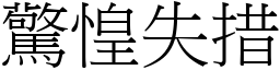 驚惶失措 (宋體矢量字庫)