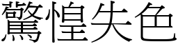 驚惶失色 (宋體矢量字庫)