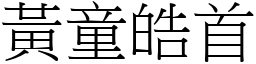 黃童皓首 (宋體矢量字庫)