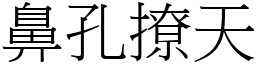 鼻孔撩天 (宋體矢量字庫)