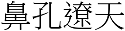 鼻孔遼天 (宋體矢量字庫)