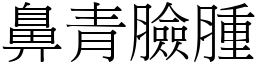 鼻青臉腫 (宋體矢量字庫)